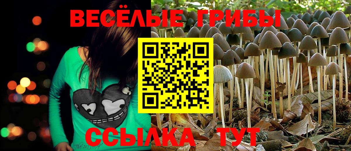Клин  Галлюциногенные грибы мицелий  где купить наркоту  Вход с VPN 